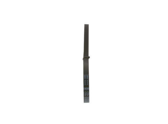 1987948338 - Ribbed v-belt - Image 2