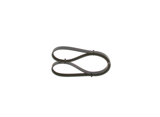 1987948350 - Ribbed v-belt - Image 3