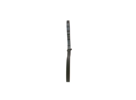1987948363 - Ribbed v-belt - Image 4