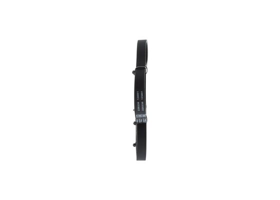 1987948364 - Ribbed v-belt - Image 2