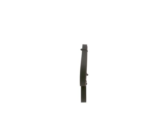 1987948365 - Ribbed v-belt - Image 2