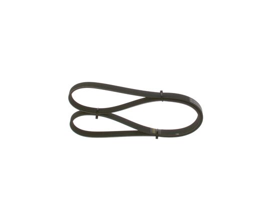 1987948365 - Ribbed v-belt - Image 3