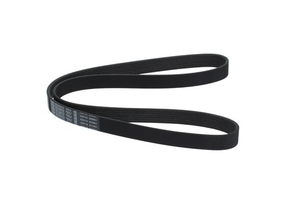 1987948397 - Ribbed v-belt