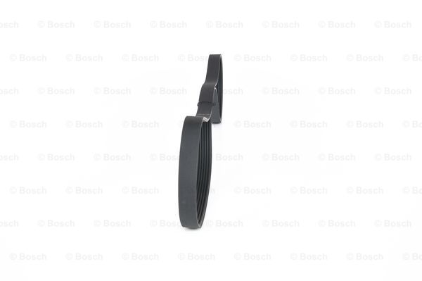1987948453 - Ribbed v-belt - Image 2