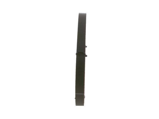 1987946808 - Toothed belt - Image 4