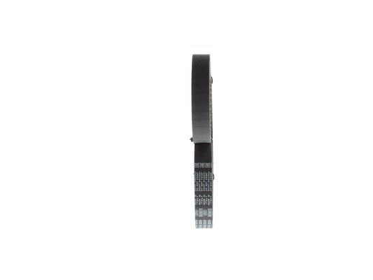 1987946809 - Toothed belt - Image 2