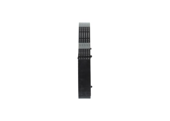 1987948707 - Toothed belt - Image 2