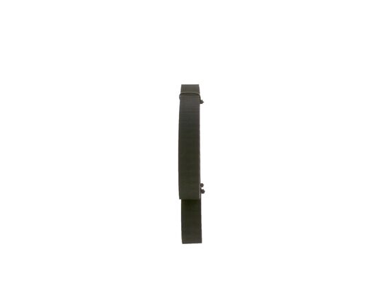 1987948716 - Toothed belt - Image 2
