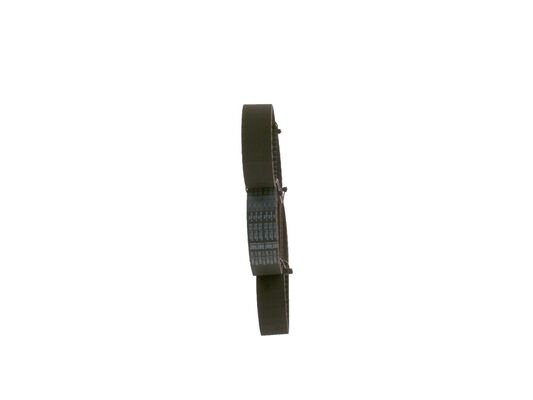 1987948752 - Toothed belt - Image 2