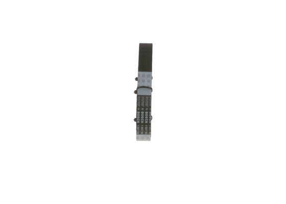 1987948753 - Toothed belt - Image 4
