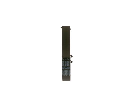 1987948761 - Toothed belt - Image 2