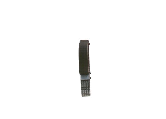 1987948774 - Toothed belt - Image 2