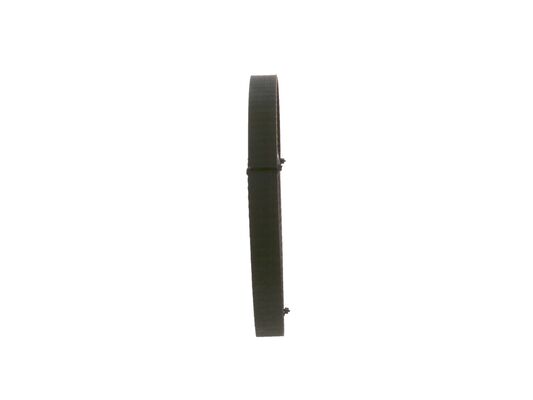 1987948784 - Toothed belt - Image 4