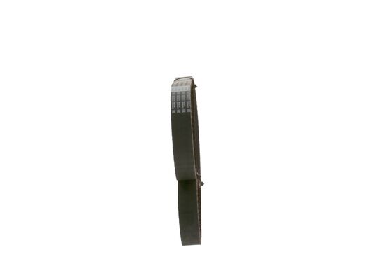 1987948788 - Toothed belt - Image 2