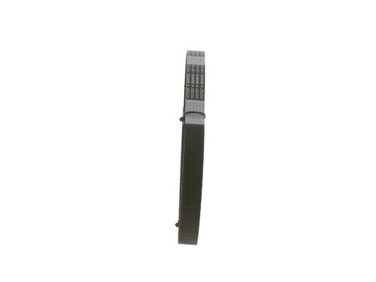 1987948788 - Toothed belt - Image 4