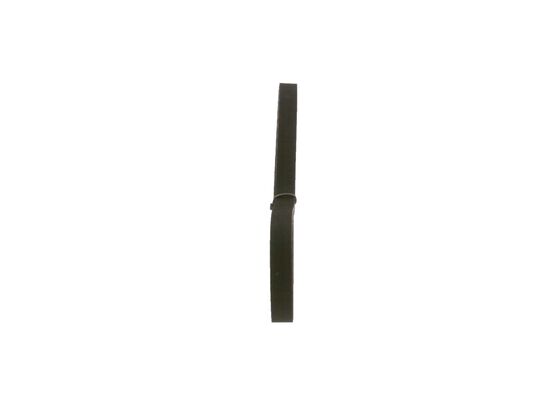 1987948813 - Toothed belt - Image 2