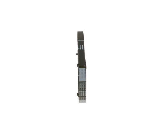 1987949032 - Toothed belt - Image 4