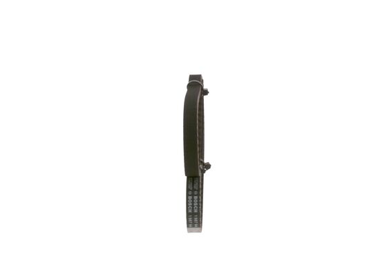 1987949055 - Toothed belt - Image 2