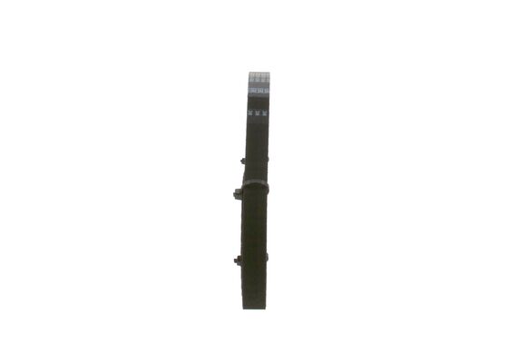 1987949095 - Toothed belt - Image 4