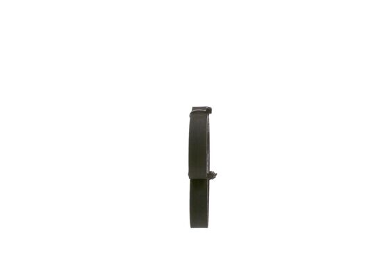 1987949107 - Toothed belt - Image 2
