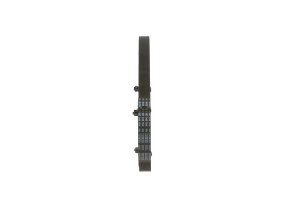 1987949194 - Toothed belt - Image 4