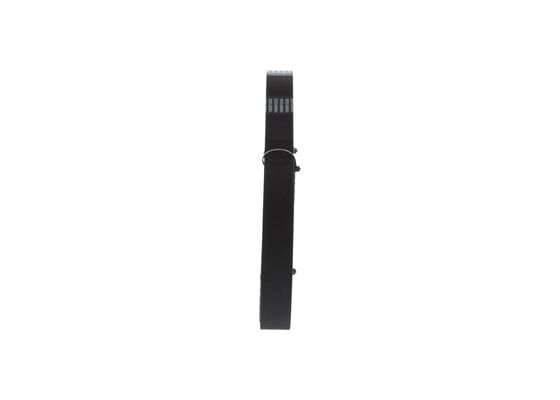 1987949648 - Toothed belt - Image 2