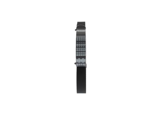 1987949648 - Toothed belt - Image 4