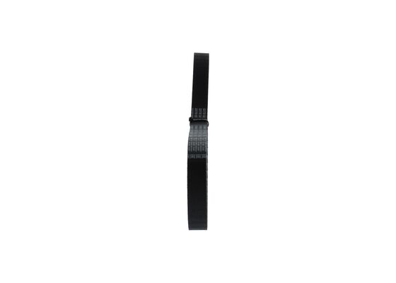 1987949650 - Toothed belt - Image 2