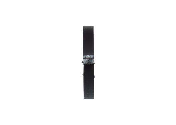 1987949652 - Toothed belt - Image 4