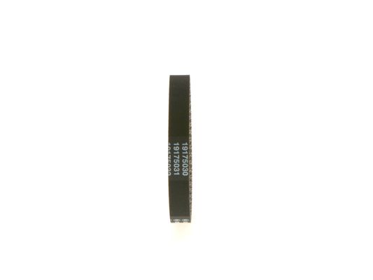1987949661 - Toothed belt - Image 2