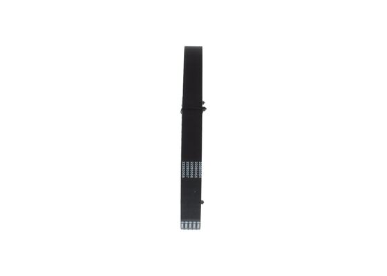 1987949666 - Toothed belt - Image 2
