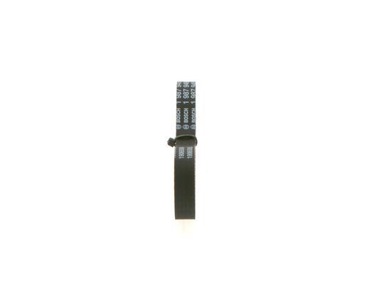 1987949685 - Toothed belt - Image 2
