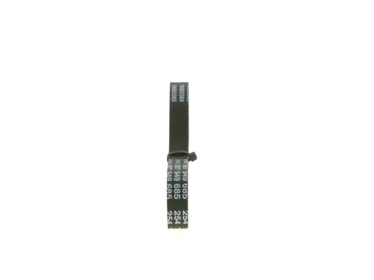1987949685 - Toothed belt - Image 4