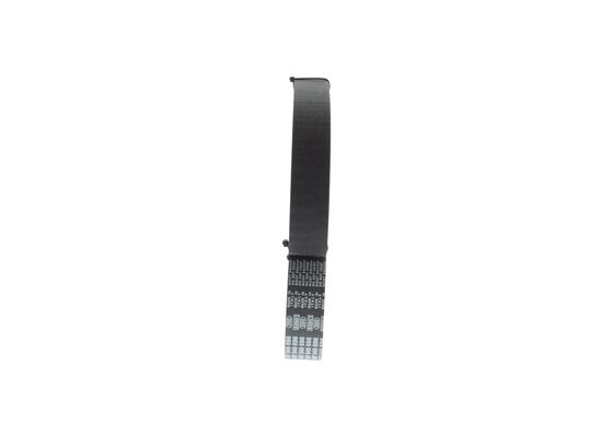 1987949698 - Toothed belt - Image 4