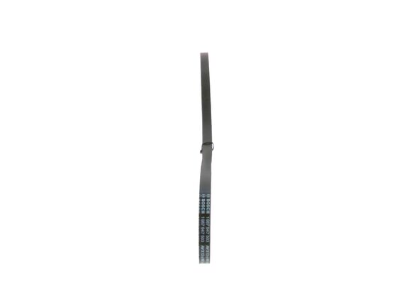 1987947503 - V-belt - Image 2